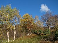 02_A valle è ancora autunno